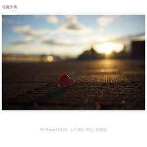 SONY デジタル一眼カメラ“α”[Eマウント]用レンズ SEL35F28Z-イメージ4