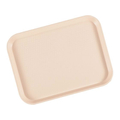 ＣＡＭＢＲＯ FFトレー 1014FF(106)ライトピーチ FC714LT-6861600