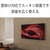SONY 75V型4Kチューナー内蔵液晶テレビ BRAVIA X95Jシリーズ XRJ-75X95J-イメージ17