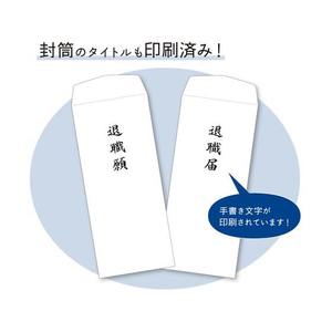 タカ印 ササガワ/簡単作成退職届退職願履歴書付 44-506 FC957SZ-44-506-イメージ4