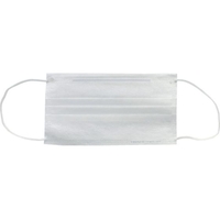 トラスコ中山 TRUSCO/作業用マスク 耳掛けタイプ 2層 100枚入 TEM2L-100 FCD481C-2310257