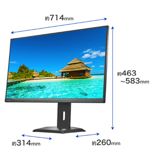 I・Oデータ 90W給電USB Type-C & LANポート搭載 4K対応 31．5型液晶ディスプレイ LCD-CU321D-FX-イメージ2