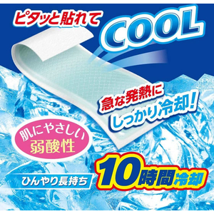 白元アース アイスノン 冷却シート 1箱(3枚×10包入) FCF711C-7-8860-11-イメージ2