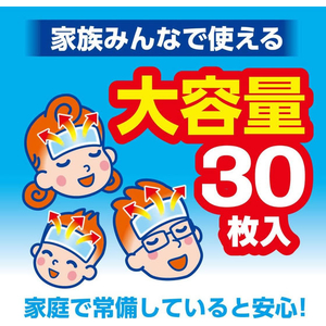 白元アース アイスノン 冷却シート 1箱(3枚×10包入) FCF711C-7-8860-11-イメージ4