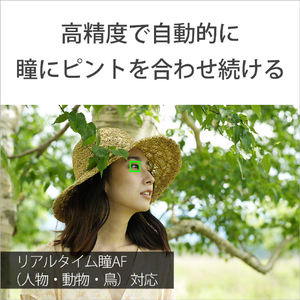 SONY デジタル一眼カメラ・ズームレンズキット α7 IV ブラック ILCE7M4K-イメージ7