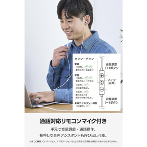エレコム マイク付き 有線イヤホン USB Type-C(TM) カナル型 ライラック EHP-DF19CMPU-イメージ4