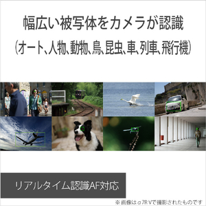 SONY ミラーレス一眼カメラ α ILCE-7M5-イメージ11