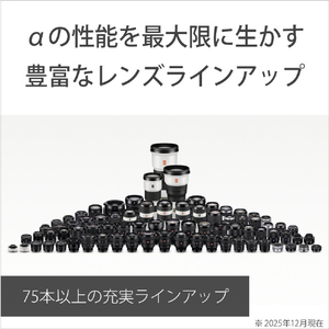SONY ミラーレス一眼カメラ α ILCE-7M5-イメージ18