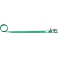 オールセーフ ベルト荷締機 ラチェット式ラウンドタイプ(中荷重) FC963HR-4795041
