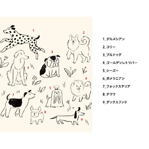 ケイホスピア アイジヨウラブリ-ドツグAN-31 アイボリー/飴色 ｱｲｼﾞﾖｳﾗﾌﾞﾘ-ﾄﾞﾂｸﾞAN-31-イメージ5