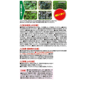 アース製薬 アースガーデン おうちの草コロリ コケ取りシャワー 1000ml F324969-イメージ2