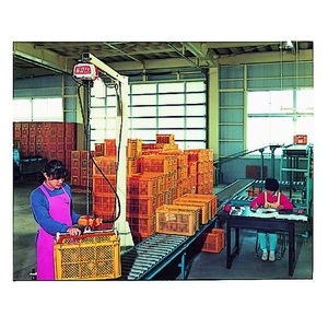 キトー 電気チェーンブロック キトーセレクト 2速形 240kg×3m 0.243低速3､高速13.533025 FC438HB-1760599-イメージ5