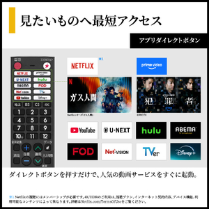 シャープ 65V型 4K Mini LED 液晶テレビ AQUOS 4T-65X5A-イメージ12