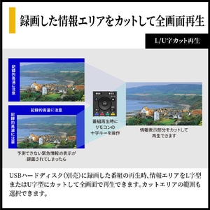 シャープ 65V型 4K Mini LED 液晶テレビ AQUOS 4T-65X5A-イメージ14