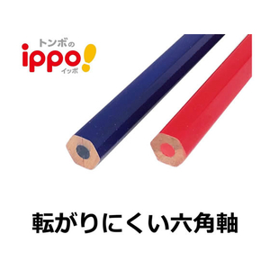 トンボ鉛筆 ippo!丸つけ用赤青えんぴつ ダース箱 F907494-CV-KIVP-イメージ3