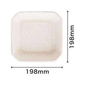 パックスタイル バガス容器 WB フルーツ 4M 600枚 FC232SH-00617868-イメージ3