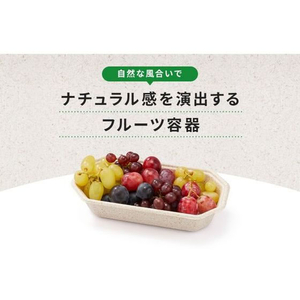 パックスタイル バガス容器 WB フルーツ 4M 600枚 FC232SH-00617868-イメージ7