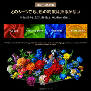 TCL 75V型4Kチューナー内蔵4K対応液晶テレビ 75C8L-イメージ16