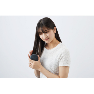 シャープ ヘアブラシ Plasmacluster Beauty ホワイト系 フロスティホワイト IB-B1-W-イメージ13