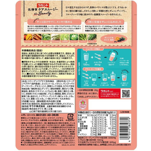 サラヤ ラカント 低糖質ケアスムージー ビューティ 160g FC963SS-イメージ2