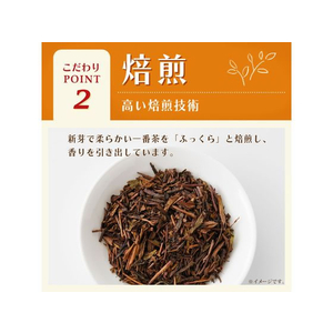伊藤園 お～いお茶 ほうじ茶 600ml FCC5723-イメージ3