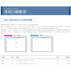 日本法令 給与支払報告書源泉徴収票専用白紙二穴 FCE025S-TP-1-イメージ2