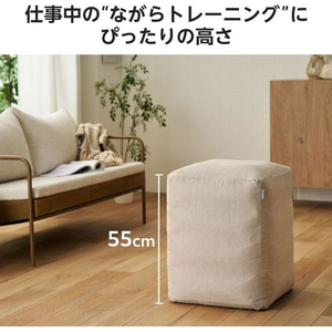 エレコム 四角いバランスボール カバー付 ベージュ FC400SP-HCF-BBCUBE55BE-イメージ3