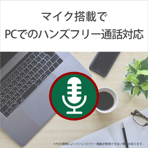 SONY ワイヤレスインイヤーヘッドフォン ブラック WI-C100 B-イメージ9