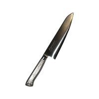 江部松商事 E-PRO PLUS 牛刀 24cm シルバー FC976LY-8734200