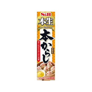エスビー食品 本生 本からし43g F800403-イメージ1
