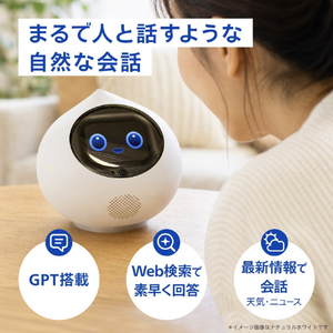 MIXI 月会費3カ月付きRomi Lacatanモデル ナチュラルホワイト RLM2NW-イメージ2