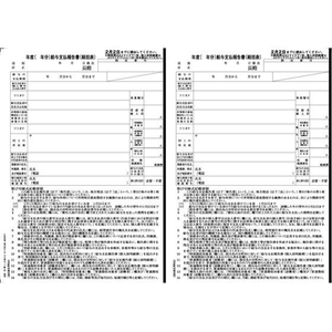日本法令 給与支払報告書 FCE029S-イメージ1