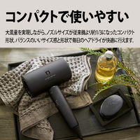 シャープ IB-P802-B プラズマクラスタードライヤー