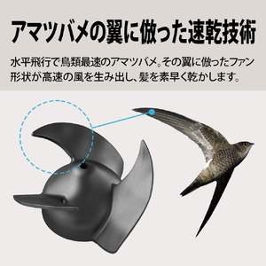 シャープ プラズマクラスタードライヤー Plasmacluster Beauty ブラック系ミッドナイトブラック IB-P802-B-イメージ11