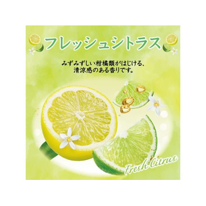 エステー お部屋の消臭力 フレッシュシトラス 400mL FC781PY-イメージ3