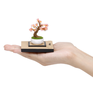 カワダ ペーパーナノ360 盆栽 桜 PN12ﾍﾟ-ﾊﾟ-ﾅﾉﾎﾞﾝｻｲｻｸﾗ-イメージ3