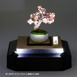 カワダ ペーパーナノ360 盆栽 桜 PN12ﾍﾟ-ﾊﾟ-ﾅﾉﾎﾞﾝｻｲｻｸﾗ-イメージ5