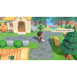 任天堂 あつまれ どうぶつの森 Nintendo Switch 2 Edition【Switch 2】 NXSPACBAD-イメージ4