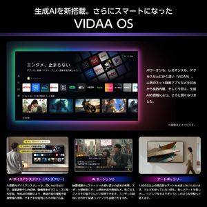 ハイセンス 65V型4Kチューナー内蔵4K対応液晶テレビ U8Sシリーズ 65U8S-イメージ10