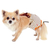 ペティオ 老犬介護用 おむつパッドK S F850991-イメージ4