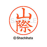 シヤチハタ ネームペン用ネーム シルバー 既製 山際 FC47719-X-GPS-1948