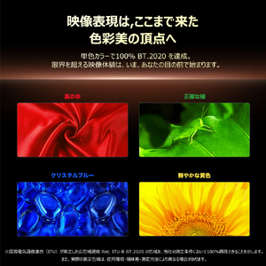 TCL 75V型4Kチューナー内蔵4K対応液晶テレビ 75RM7L-イメージ10