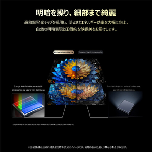 TCL 65V型4Kチューナー内蔵4K対応液晶テレビ 65RM7L-イメージ14