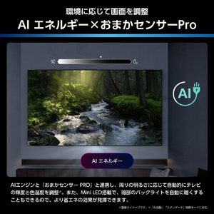 ハイセンス 65V型4Kチューナー内蔵4K対応液晶テレビ U7Sシリーズ 65U7S-イメージ13