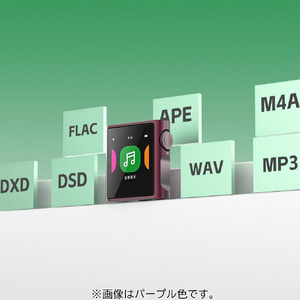 SHANLING デジタルオーディオ パープル SHM0PURAPRP-イメージ13
