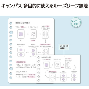 コクヨ キャンパス ルーズリーフ A7サイズ 7穴 無地 50枚 FCJ295T-ﾉ-897W-イメージ3
