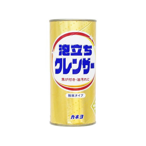 カネヨ石鹸 FCE287M 泡立ちクレンザー 400g |エディオン公式通販