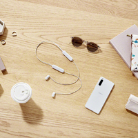 SONY WI-C100 C ワイヤレスインイヤーヘッドフォン ベージュ