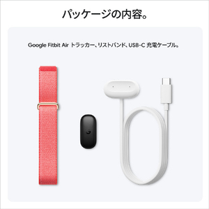 Fitbit Google Fitbit Air GA11016-AU Berry バンド / Polished Champagne Gold ステンレス バックル GA11016-AU-イメージ10