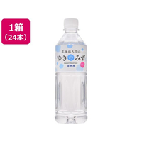 北海道大雪山 ゆきのみず 550mL 24本 FCG763W